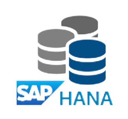 HANA DB
